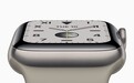 钛金属版本Apple Watch Series 6库存吃紧 或即将停产？