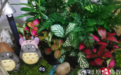 一日禅：繁华似锦