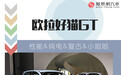 当性能与纯电结合，这台好猫GT小姐姐都想要