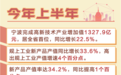 半年完成增加值1327.9亿元！“第一动力”引领宁波新发展