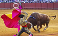 西班牙一市取消斗牛场使用权，斗牛是文化遗产还是野蛮标记？