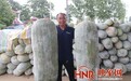 180斤“冬瓜王”亮相 临颍县王孟镇瓜菜种植助推乡村振兴