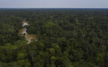 亚马逊雨林变身污染源？外媒：已成碳排放源头之一