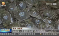 “蟹”逅金秋！甘肃产“高原蟹”出国门奔向海外餐桌