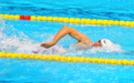 汪顺领衔奥运联合队夺得十四运会男子4×200米自由泳接力决赛金牌