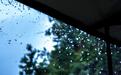 猛增3.3万余家机构：素质赛道的“雨后春笋”时期