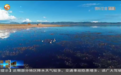 投资近2.5亿 甘肃碌曲诞生青藏高原生态文明示范区