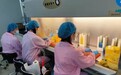 青岛市动物疫病预防控制中心举办牛结核病γ-干扰素ELISA试剂盒检测技术培训班