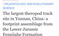 新发现！云南最大兽脚类恐龙足迹点公布