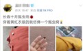 聚焦丨瓢虫漫天飞舞“逛”城市，为啥？