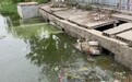 长春、菏泽两市水体返黑返臭 中央生态环保督察揭背后原因