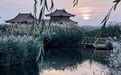肃州湿地披上“黄衣裳”，简直“洋气”到飞起！