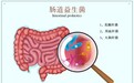 成人益生菌哪种好？记住以下三点选出优质益生菌