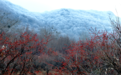 深秋，到香炉山看“超美”五花山色