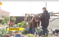 长沙监控楼顶违建有新动作 启动对重点区域楼顶无人机执法