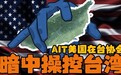 美国在台协会，美国控制台湾的神秘组织！