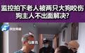 河南安阳“狗伤人”事件涉事人王某被停职