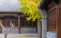 青州古城：一袭晚秋色，叶落满园皆为你