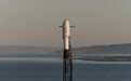 NASA“卫星导弹”已升空 SpaceX执行首次行星防御测试任务