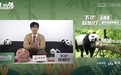 普盛号：携手咪咕走进旅外大熊猫寻亲的故事
