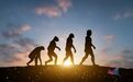 进化越快 灭绝也越快？ 
