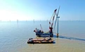 802兆瓦！国内单体容量最大海上风电项目在启东完工