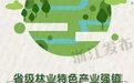 产业兴百姓富！看温州林业产业如何“遍地开花” 