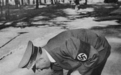 荒诞却真实的历史：阿道夫·希特勒与动物保护