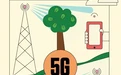 树木对5G信号的传播影响有多大？美国研究所已着手研究