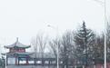 郑州迎来2022年第二场雪 来的轻盈却很美丽