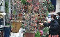 迎春花市喜迎爱花客