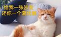 90后精英律师，一人住128㎡、花40W做2室、浴室装成全透明！