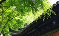 青年佛子看过来！2022年各大佛学院招生简章汇总
