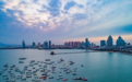 助力海洋强国 全国首家海淡产业研究院落子青岛