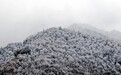 陇南官鹅沟缤纷雪韵惊艳时光