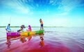 玫瑰湖，粉红色的“死海”