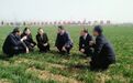 2022年河南省创建全国绿色食品原料标准化生产基地初验工作全面展开