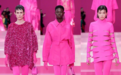 VALENTINO 华伦天奴2022秋冬 PINK PP系列