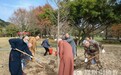 道慈大和尚一行参加普陀山2022年春季义务植树活动