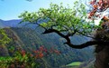 两千多年前老子骑青牛西行 “打卡”甘肃这些景点