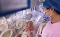 15省份人口数据出炉：河南44年来出生人口首次跌破80万
