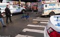 遭纽约警察局解聘后 波士顿动力机器狗又被消防局返聘