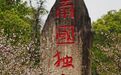 一场倒春寒花落知多少？百花接力春更艳