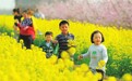 山西省各地推出丰富多彩的乡村“赏花游”线路