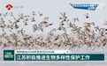 物种数由4588种更新至6046种 江苏积极推进生物多样性保护工作 