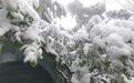 倒春寒来袭 十堰武当山四月飞雪刷屏朋友圈