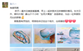 好治愈！象山绘画达人用笔尖记录营救抹香鲸感动瞬间