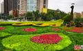 迎“五一” 花箱花球花柱扮靓河北石家庄