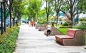 口袋公园增绿又亲民