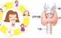 国际甲状腺知识宣传周——山东大学齐鲁医院（青岛）将开展甲状腺疾病多学科义诊活动